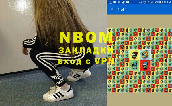 apvp Семилуки