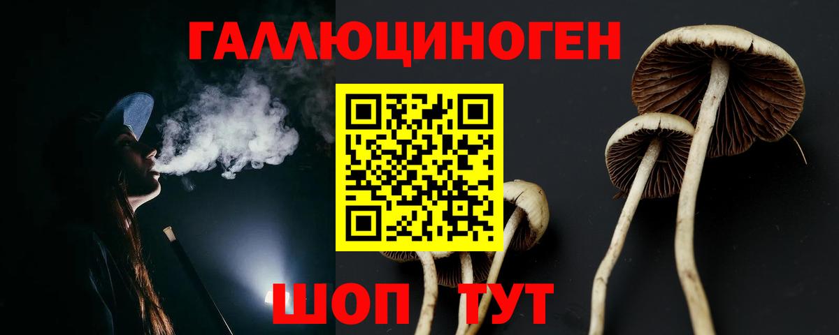 Псилоцибиновые грибы Cubensis Волжск